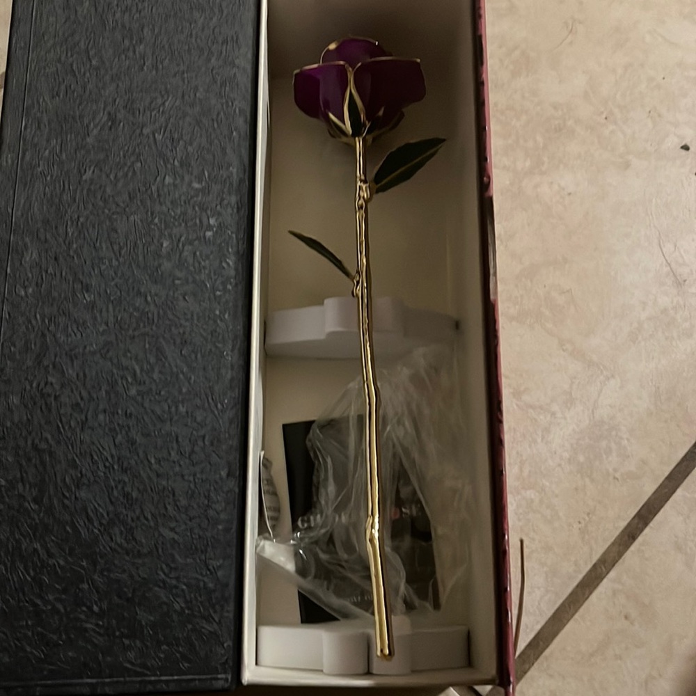 Purple rose